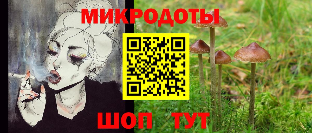 Псилоцибиновые грибы GOLDEN TEACHER Тамбов